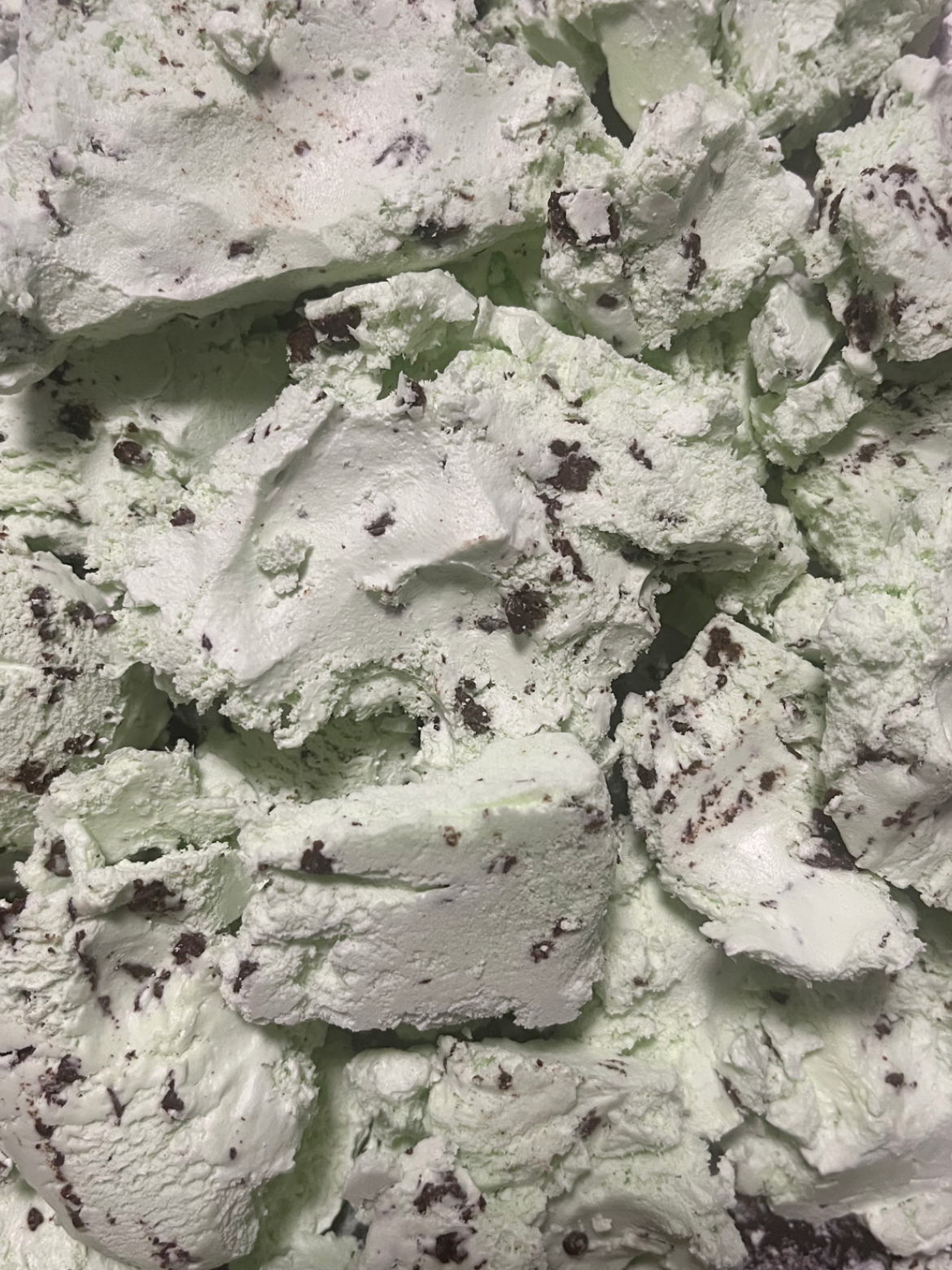 Freeze Dried Mint Chocolate Chip Ice Cream