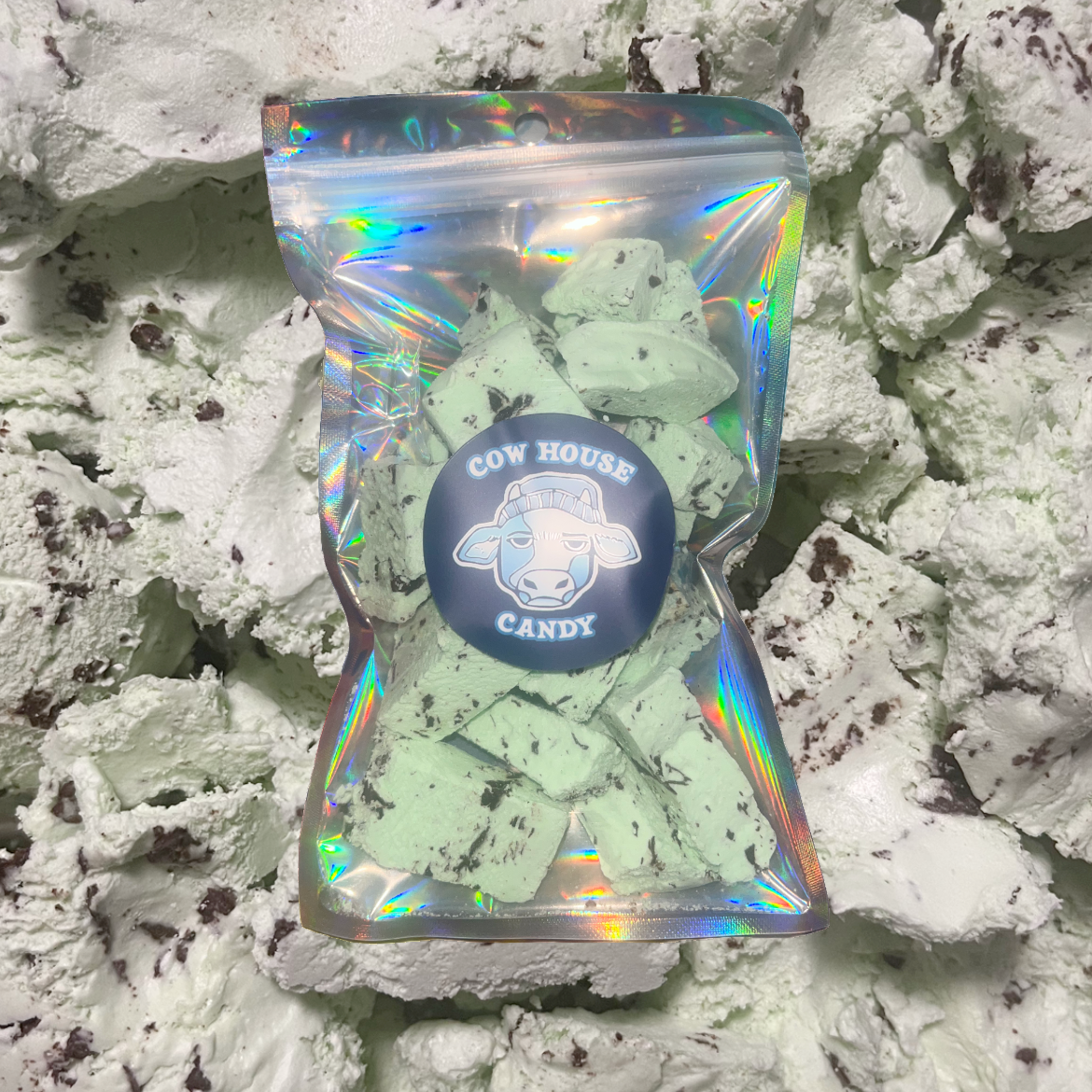 Freeze Dried Mint Chocolate Chip Ice Cream