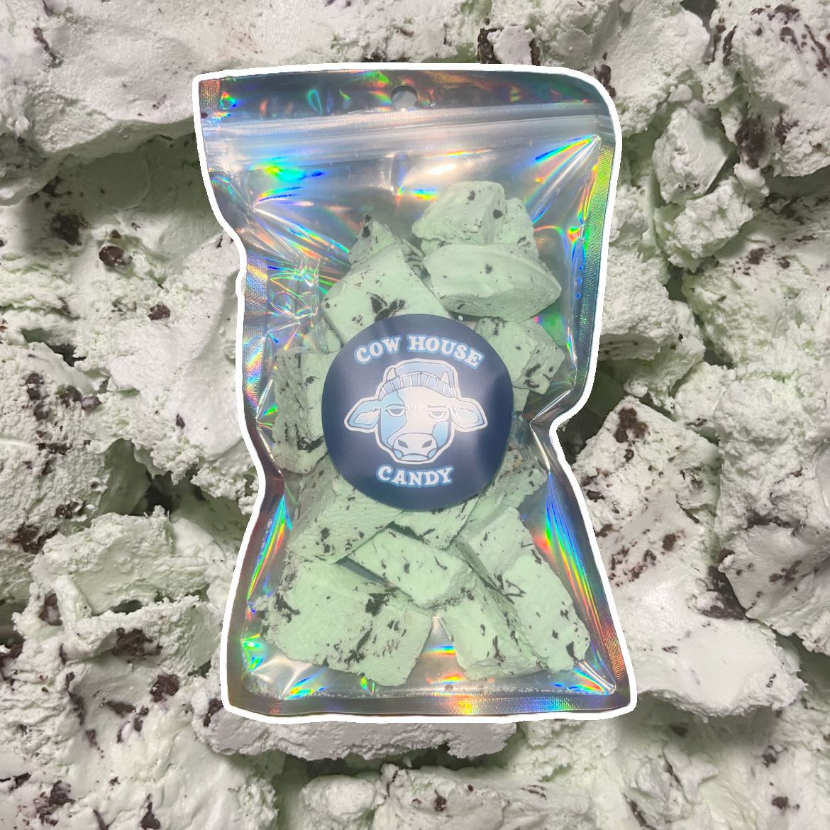 Freeze Dried Mint Chocolate Chip Ice Cream