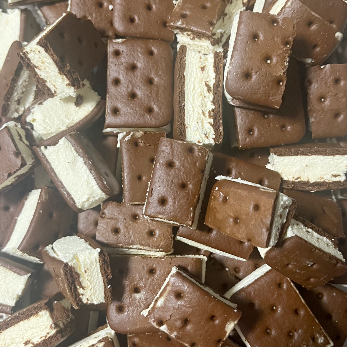Freeze Dried Ice Cream Sandwiches